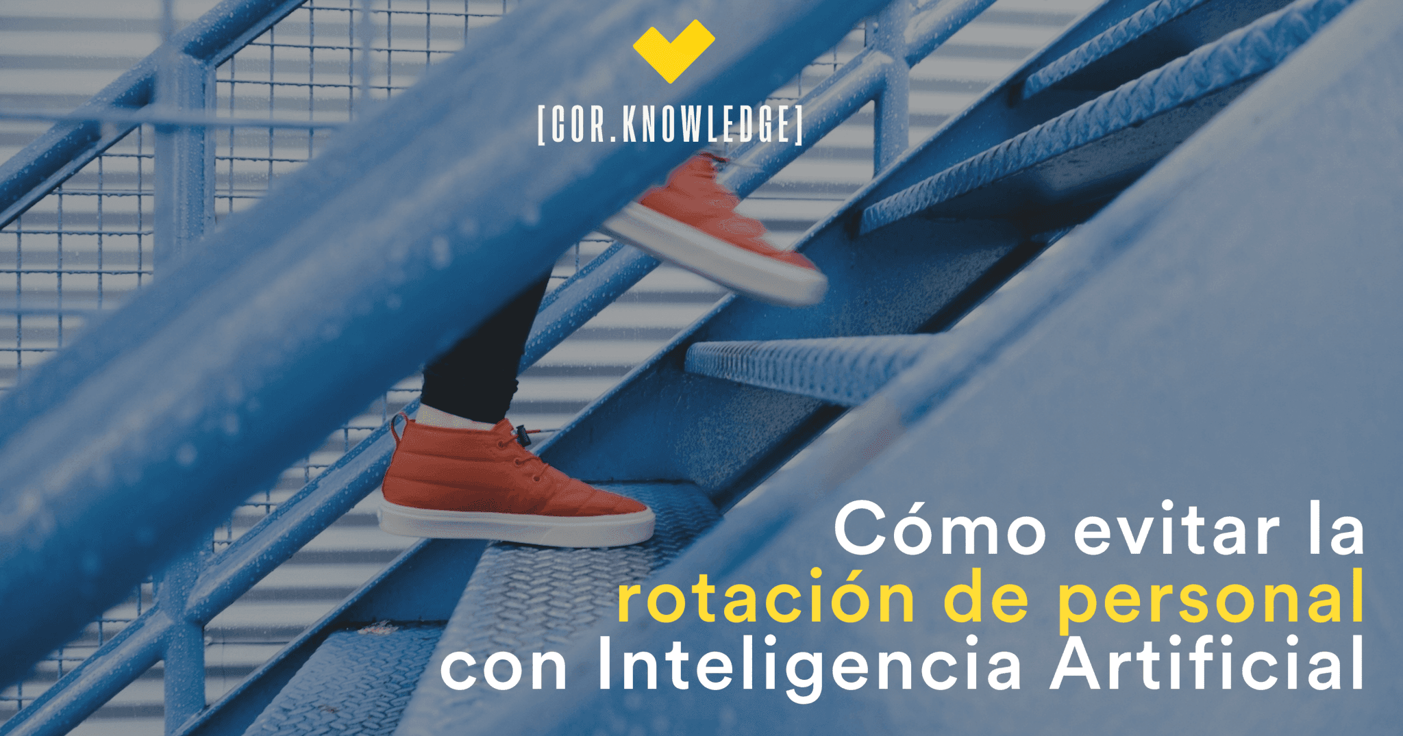 Automation and Efficiency: Keys to Improve Your Agency’s Workflow
