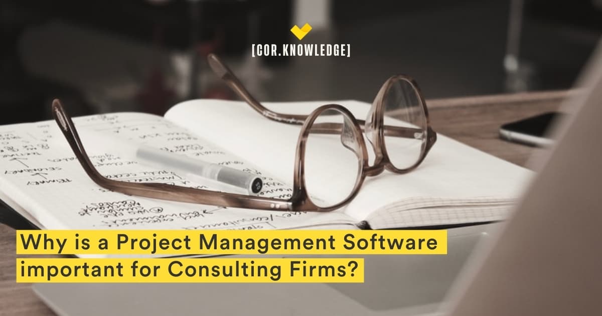 Consulting Firms: Why is a Project Management Software Important for You?